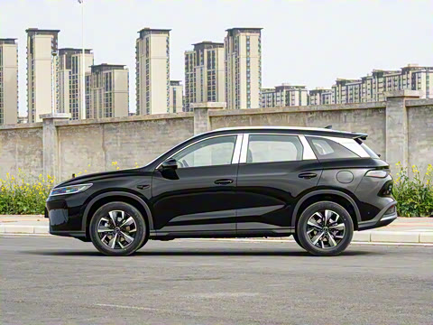 2025�� DM-i �Ǽݰ� 115KM������