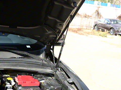 2024�� 2.0T 268HP AWD Sprint�����