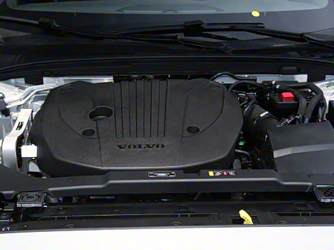 2026�� B4 ��Զ�˶���