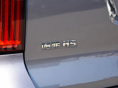 2024�� 2.0T�Զ������촴 ����