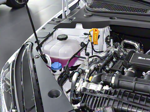 2025�� DM-i 80KM�����