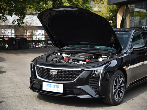 2025�� 28T �����˶���