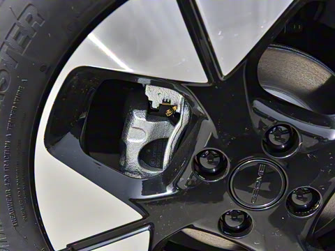 2025�� 310km �����