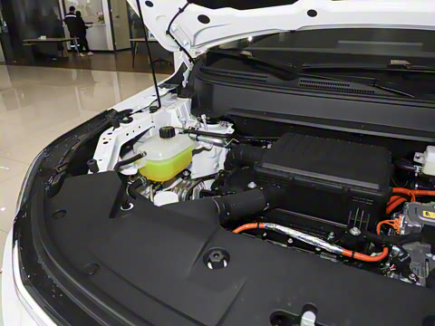 2025�� 165km ���������ж��ư� 7��