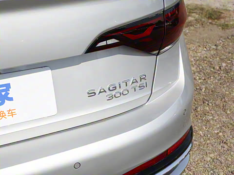 2024�� 300TSI DSG��Խ��