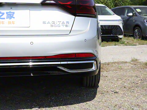 2024�� 300TSI DSG��Խ��