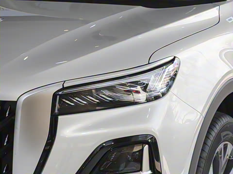 2025�� 2.0T ��������Pro��