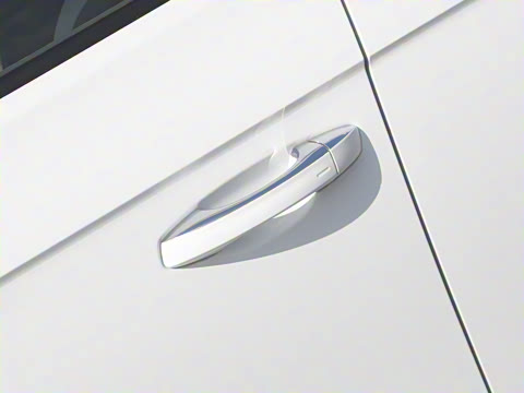 2025�� 300TSI DSG���������