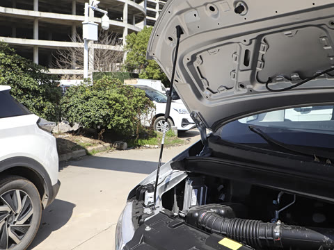 2025�� 1.8L �ֶ������ 5��