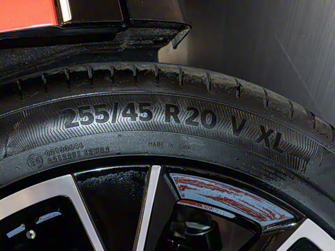 2025�� Max���̰�