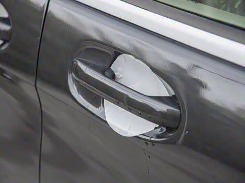 2024�� V 300 L ���������