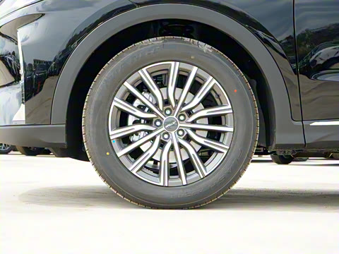 2024�� �ھ��� 1.5T DCT�ھ�MAX 5��