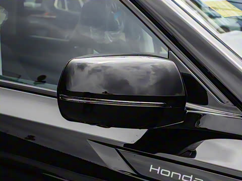 2025�� ����������Pro