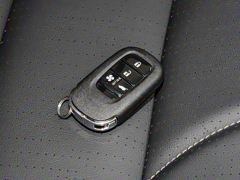 2025�� ����������Pro