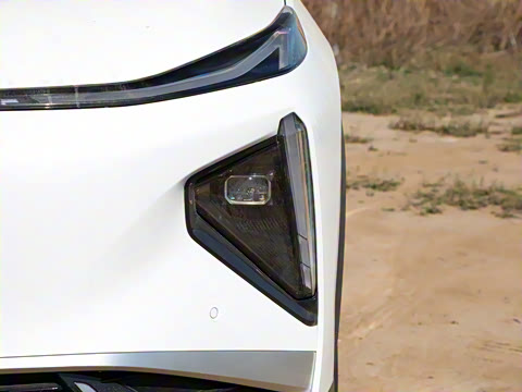 2025�� 3DHT 115km �ǽ���