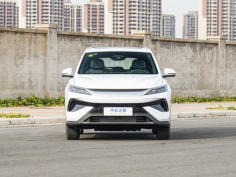 2025�� �ڶ��� �Ǽݰ� DM-i 115KM��Խ��