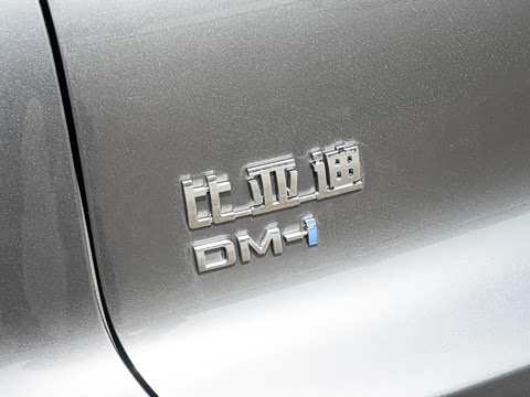 2025�� �ڶ��� �Ǽݰ� DM-i 115KM��Խ��