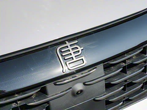 2025�� �Ǽݰ� DM-i 115KM ������