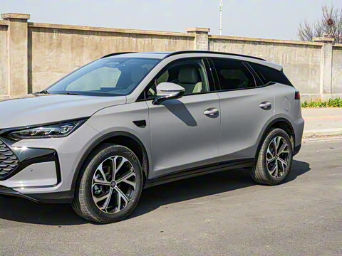 2025�� �Ǽݰ� DM-i 115KM ������