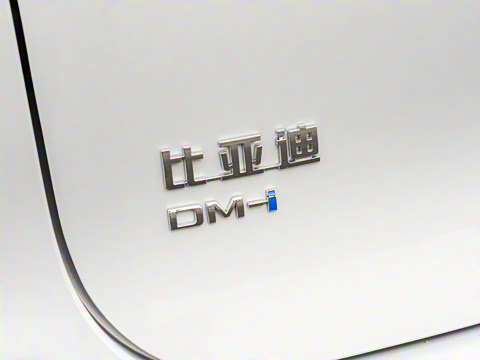 2025�� �Ǽݰ� DM-i 115KM ������