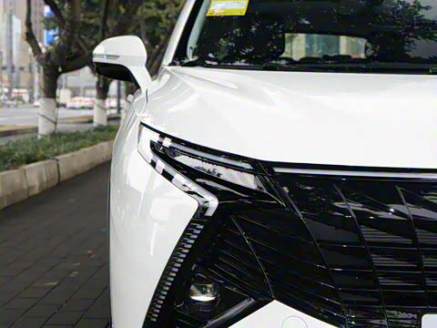 2025�� 1.5T ɽ�������� 7��