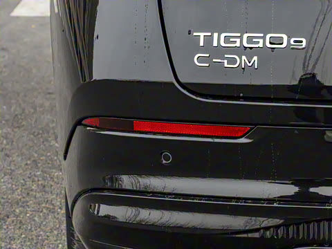 2025�� 1.5T 106KM������ 7�� �������