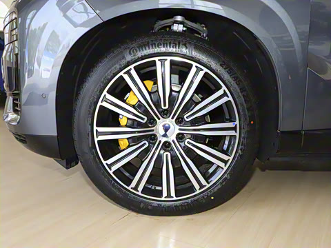 2025�� ������