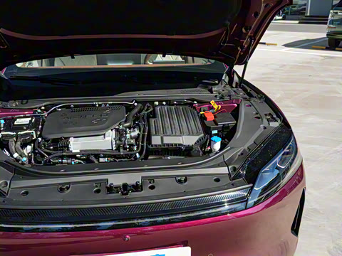 2025�� 260����������