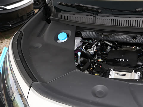 2025�� DM-i 1.5T 100km ������