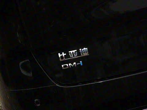 2025�� DM-i 1.5T 100km ������