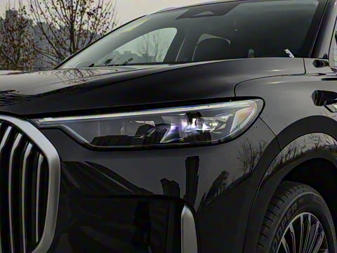 2025�� 1.5T 106KM������ 7�� �������