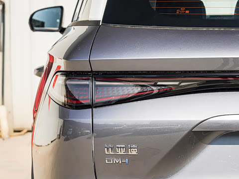 2025�� DM-i �Ǽݰ� 115KM�콢��