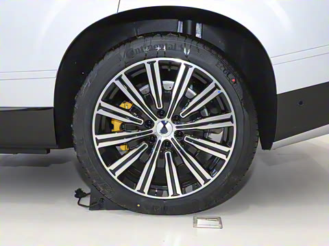 2025�� ������