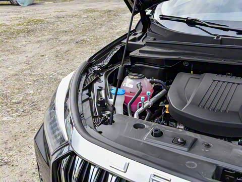 2025�� 1.6TD �ֶ����ʰ� 5��