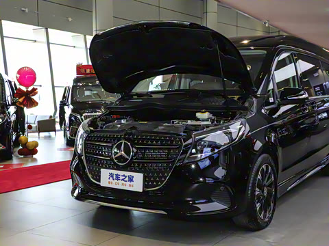 2025�� �����������վ�