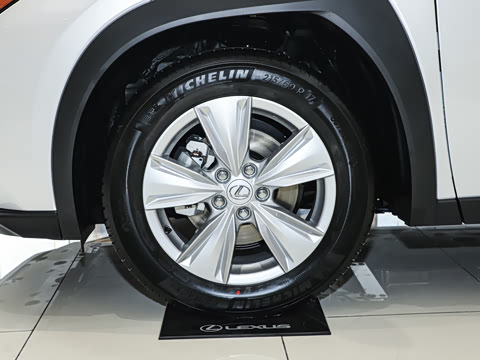 2024�� 300h ̽���