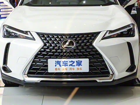 2024�� 300h ̽���