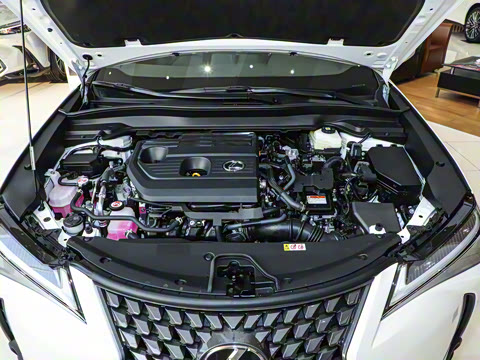 2024�� 300h ̽���