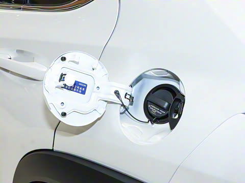 2024�� 300h ̽���