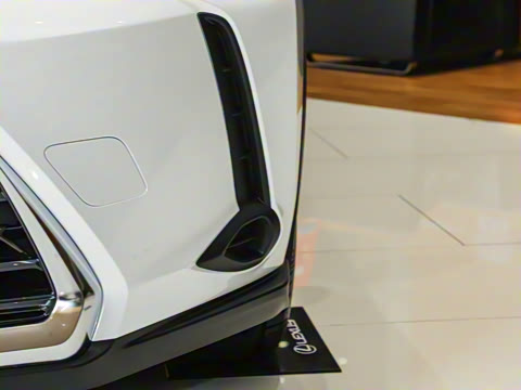 2024�� 300h ̽���