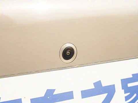 2025�� DM-i �Ǽݰ� 115KM������