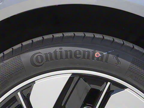 2025�� 636Max���Ȱ� 6��