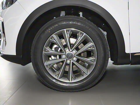 2025�� 1.5T DCT��ԽPRO 5��