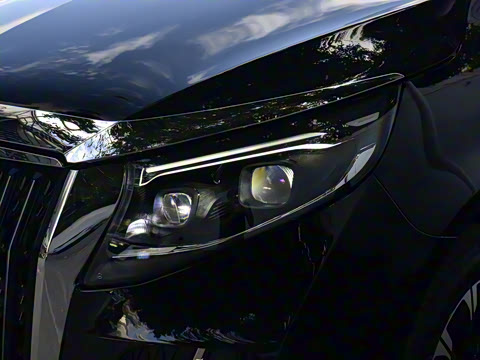 2025�� �������Ȱ�