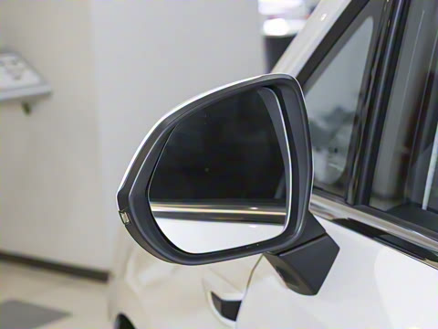 2025�� 2.0T �Ǻ�������