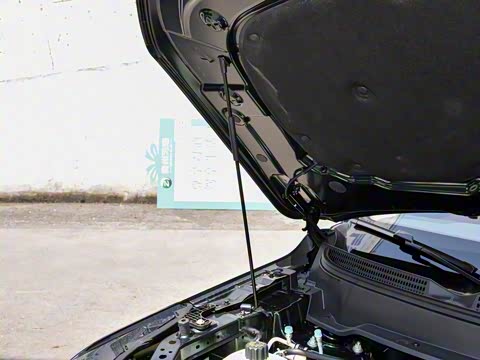 2026�� 165km ������������Max 7��