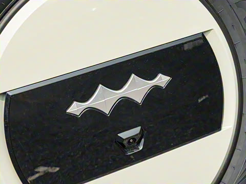 2025�� �����Ǽ�Max��