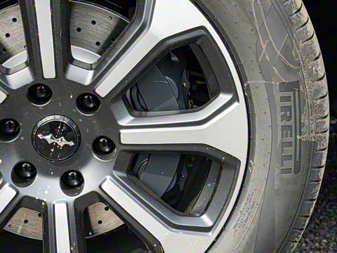 2025�� �����Ǽ�Max��