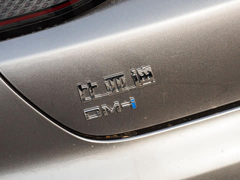 2025�� DM-i �Ǽݰ� 55KM������