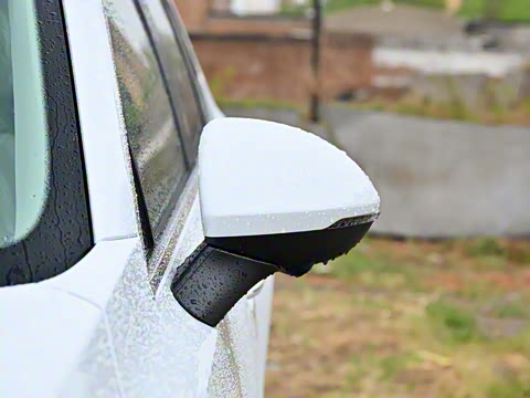 2025�� ������Plus ����Avenir��ά��